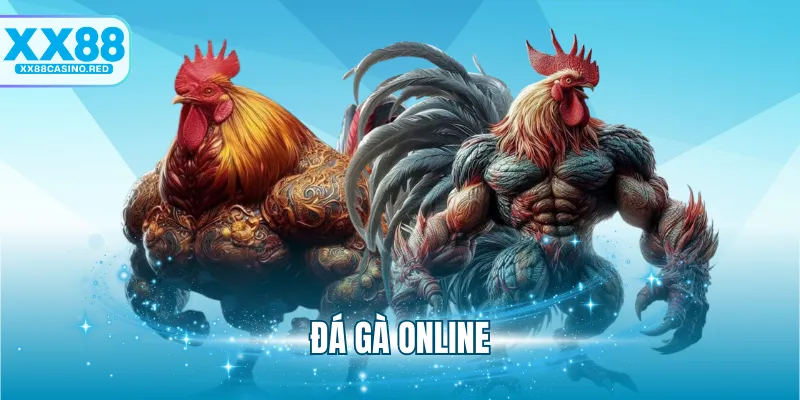 Đá Gà Online Và Những Kiểu Chơi Đá Gà Phổ Biến Hiện Nay 4 Đá Gà Online Và Những Kiểu Chơi Đá Gà Phổ Biến Hiện Nay