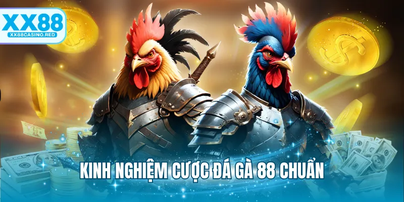 Đá Gà 88 - Sảnh Chơi Cá Cược Đấu Kê Online Hấp Dẫn 7 Kinh nghiệm cược đá gà 88 chuẩn