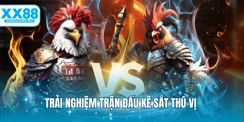 Đá Gà 88 - Sảnh Chơi Cá Cược Đấu Kê Online Hấp Dẫn 6 Trải nghiệm trận đấu kê cựa sắt thú vị